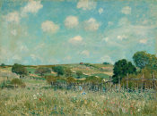 Alfred Sisley - Meadow, 1875