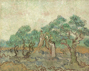 Vincent van Gogh - The Olive Orchard, 1889