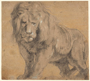 Sir Peter Paul Rubens - Lion, c. 1612-1613