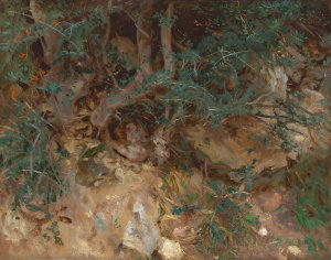 John Singer Sargent - Wild Olive Tree Roots, Valldemosa, Majorca, 1908