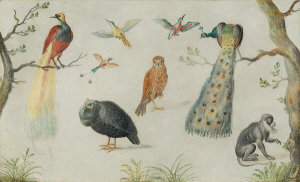 Circle of Jan van Kessel the Elder - Study of Birds and Monkey, 1660/1670