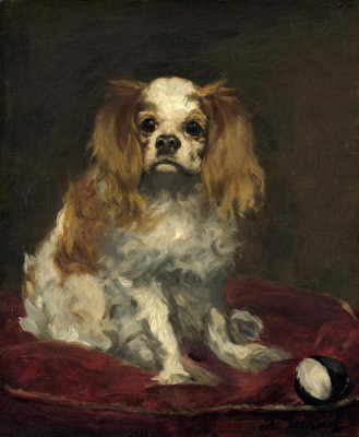 Edouard Manet - A King Charles Spaniel, c. 1866