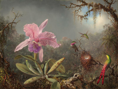 Martin Johnson Heade - Cattleya Orchid and Three Hummingbirds, 1871