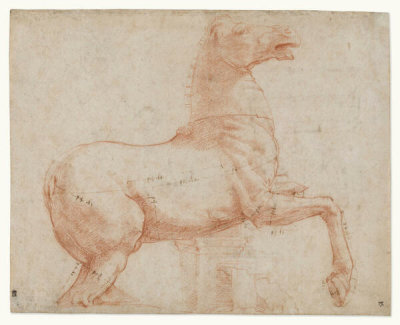 Raphael - A Marble Horse on the Quirinal Hill [recto], c. 1513